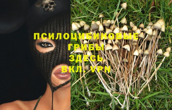 a pvp Армянск