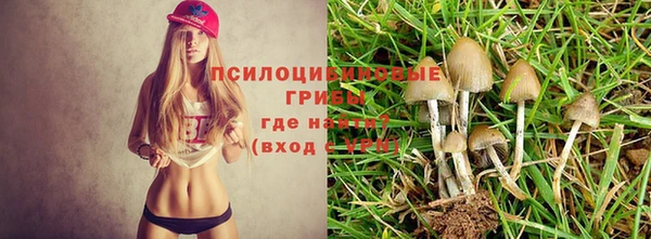 a pvp Армянск
