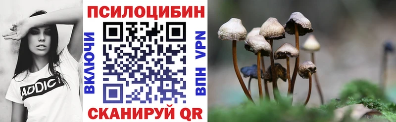 mega ТОР закладка Усолье Псилоцибиновые грибы MAGIC MUSHROOMS